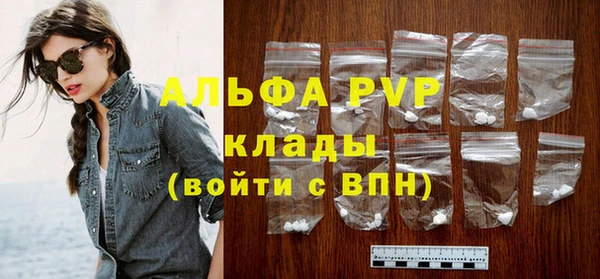 индика Новозыбков